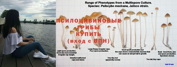 мескалин Верхнеуральск